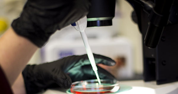 Woman in laboratory