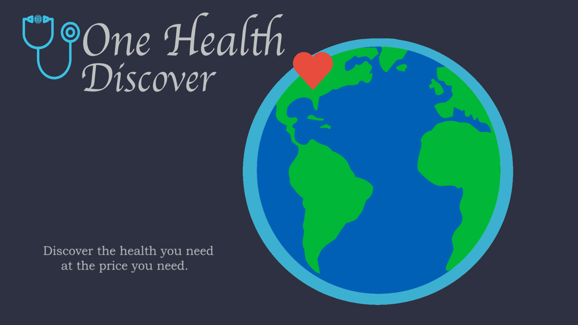 ENGR-1200-02-One_Health_Discover_ Visual Abstract Image